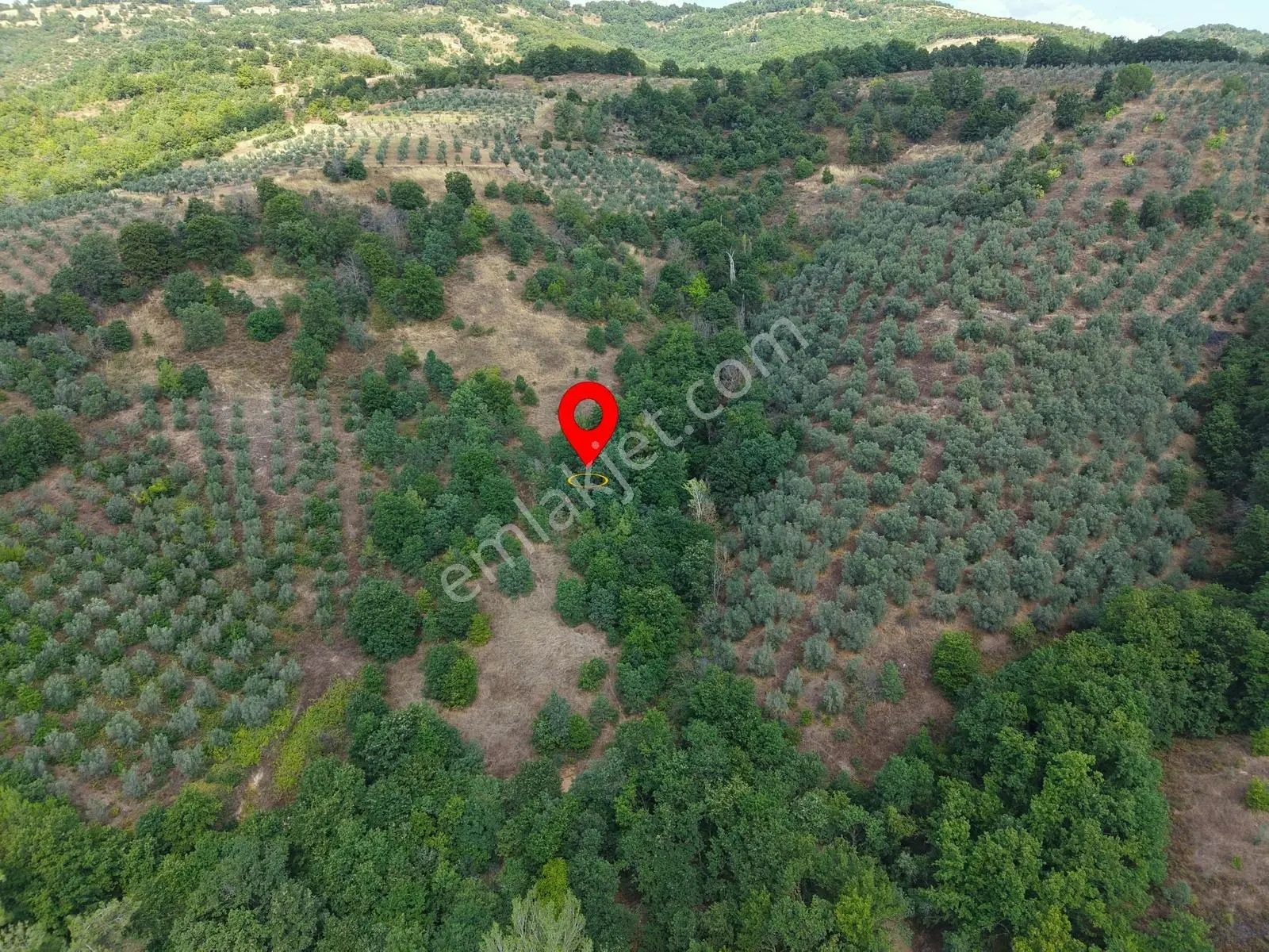Sarıağıl'da Resmi Yola Cepheli Olan En Ucuz Tarla 6234 M2 — fotoğraf 5