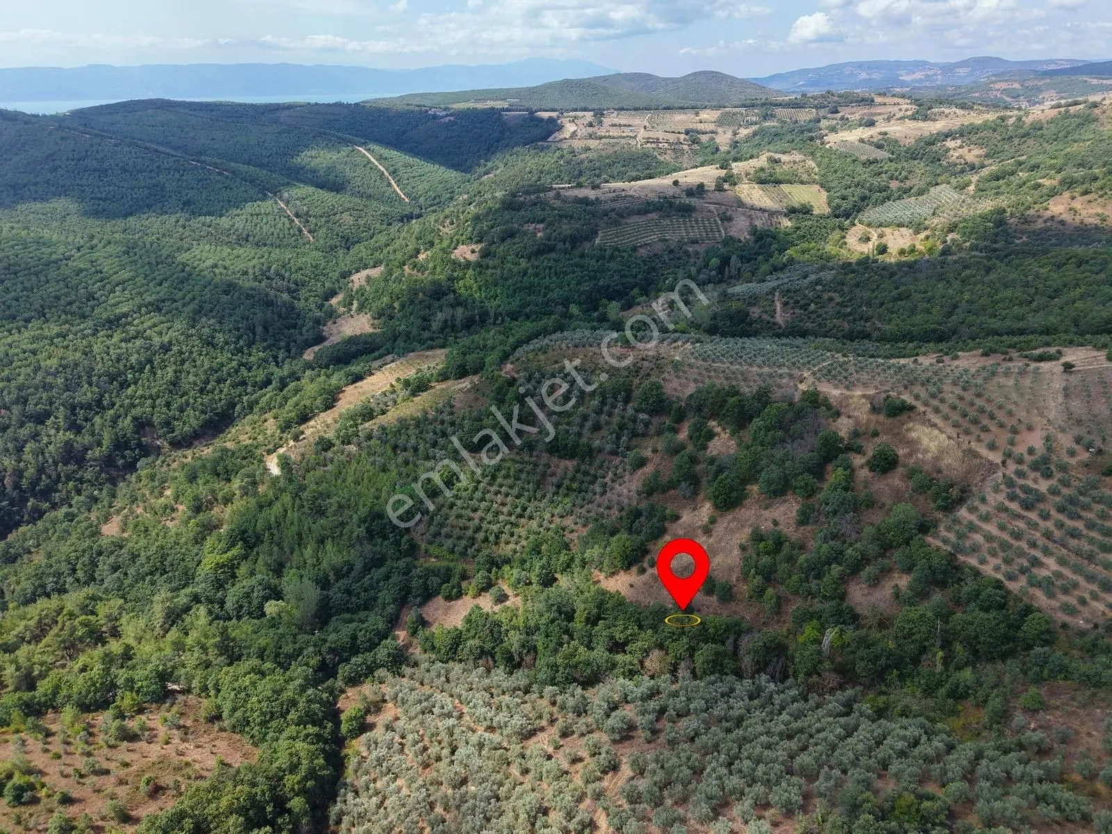 Sarıağıl'da Resmi Yola Cepheli Olan En Ucuz Tarla 6234 M2 — fotoğraf 6