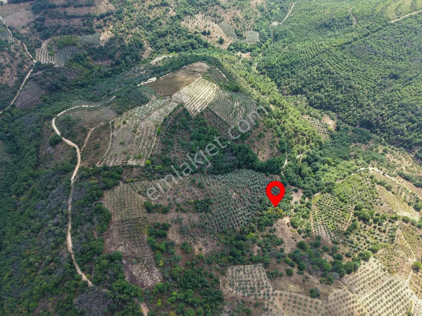 Sarıağıl'da Resmi Yola Cepheli Olan En Ucuz Tarla 6234 M2 — fotoğraf 7