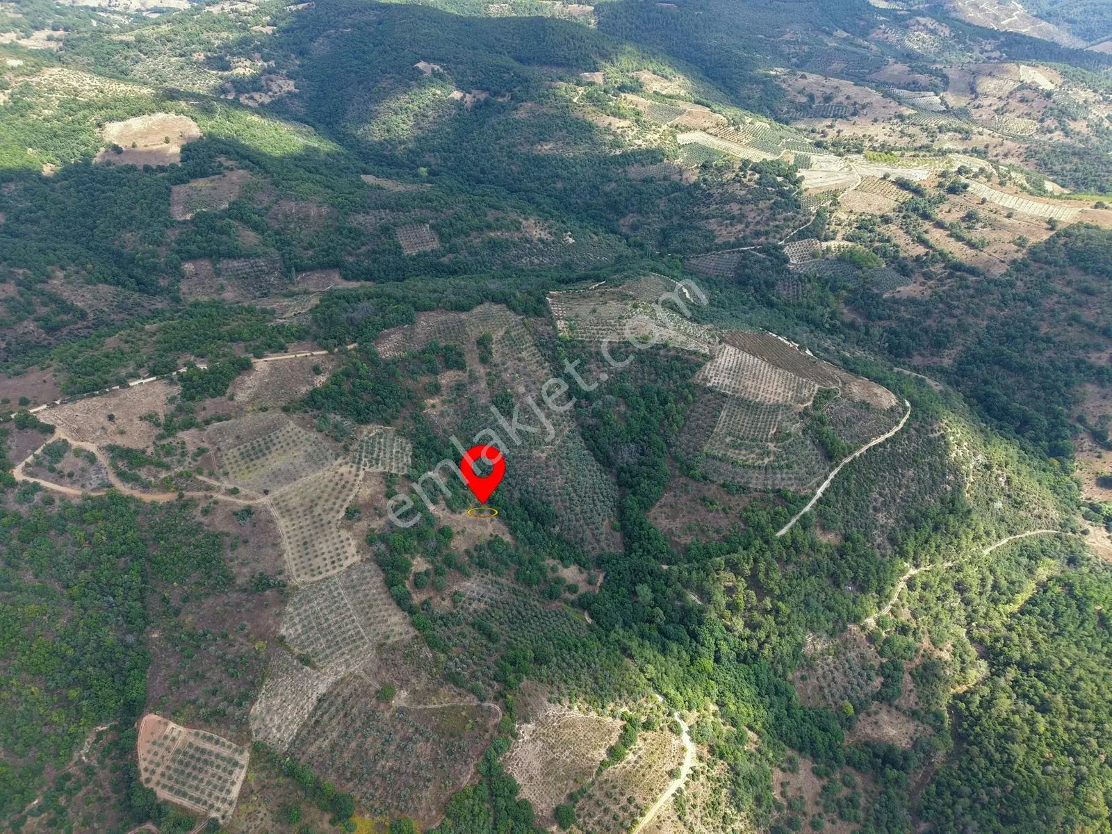 Sarıağıl'da Resmi Yola Cepheli Olan En Ucuz Tarla 6234 M2 — fotoğraf 8
