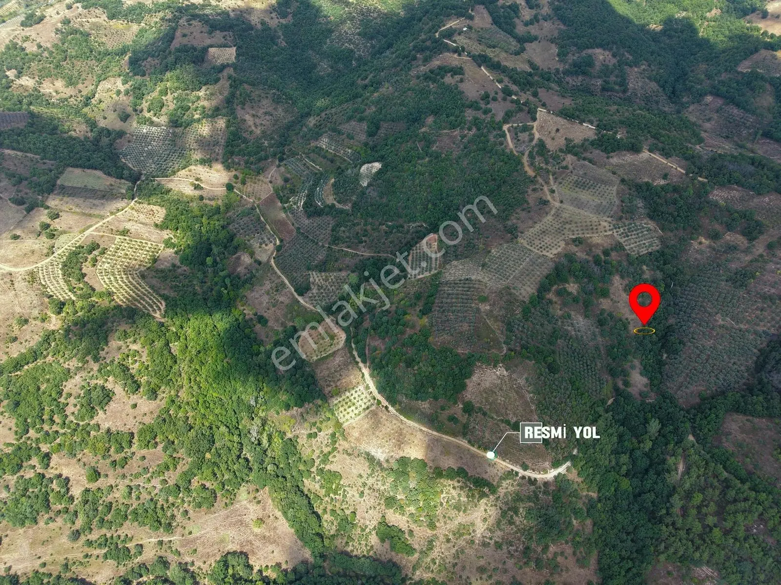 Sarıağıl'da Resmi Yola Cepheli Olan En Ucuz Tarla 6234 M2 — fotoğraf 9