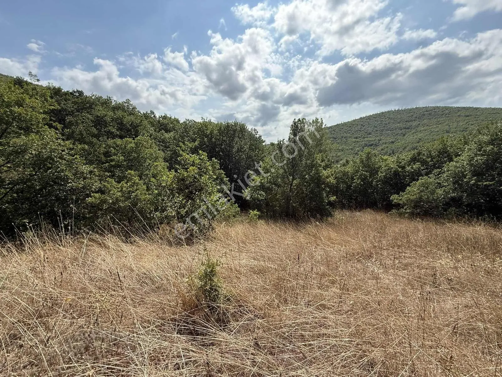 Sarıağıl'da Resmi Yola Cepheli Olan En Ucuz Tarla 6234 M2 — fotoğraf 10