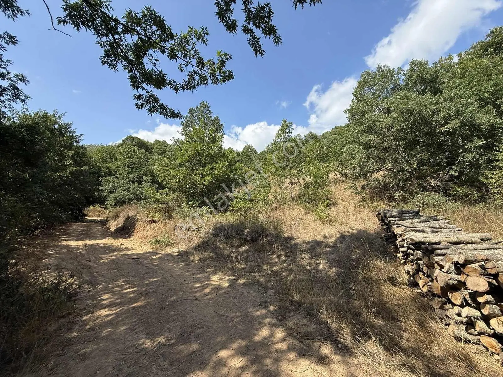 Sarıağıl'da Resmi Yola Cepheli Olan En Ucuz Tarla 6234 M2 — fotoğraf 12