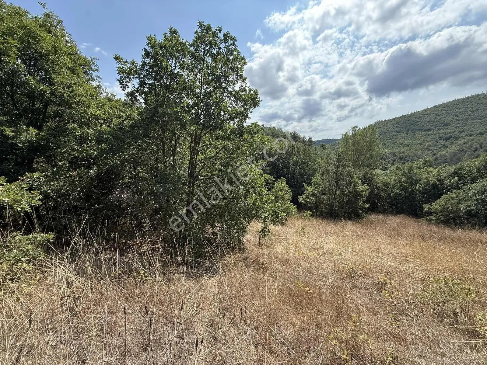 Sarıağıl'da Resmi Yola Cepheli Olan En Ucuz Tarla 6234 M2 — fotoğraf 16
