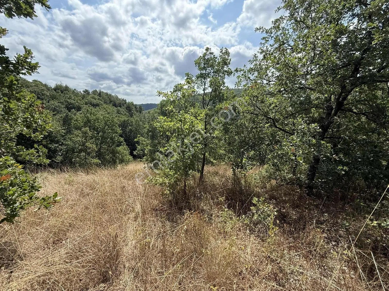 Sarıağıl'da Resmi Yola Cepheli Olan En Ucuz Tarla 6234 M2 — fotoğraf 17