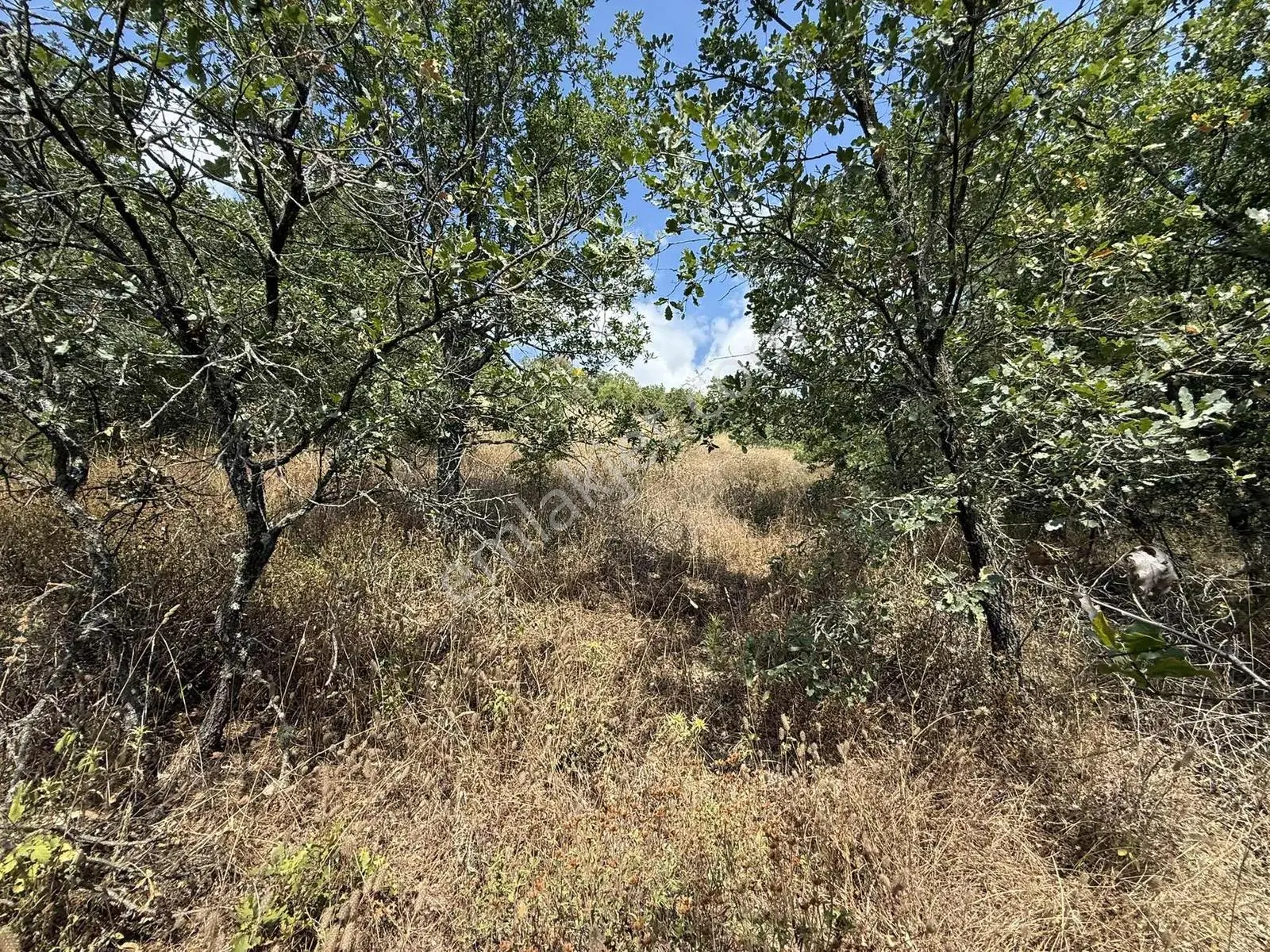 Sarıağıl'da Resmi Yola Cepheli Olan En Ucuz Tarla 6234 M2 — fotoğraf 18
