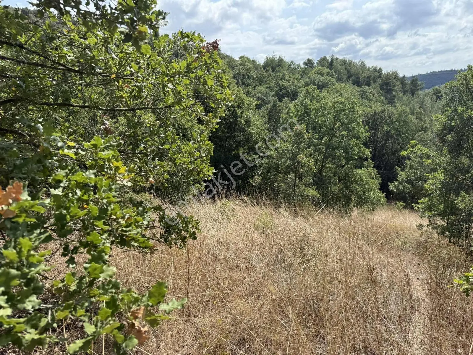 Sarıağıl'da Resmi Yola Cepheli Olan En Ucuz Tarla 6234 M2 — fotoğraf 19