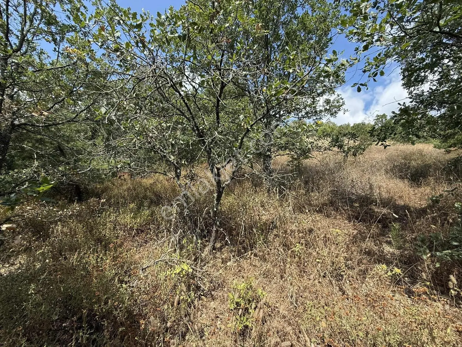 Sarıağıl'da Resmi Yola Cepheli Olan En Ucuz Tarla 6234 M2 — fotoğraf 20