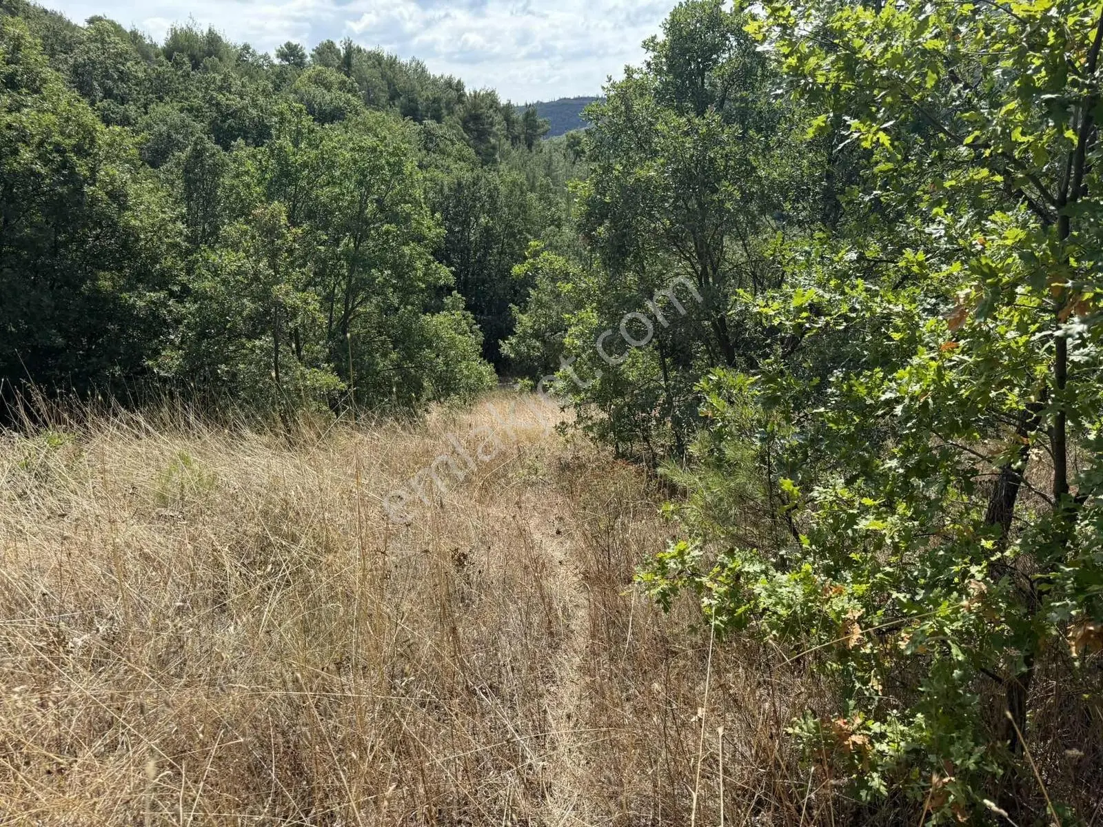 Sarıağıl'da Resmi Yola Cepheli Olan En Ucuz Tarla 6234 M2 — fotoğraf 21