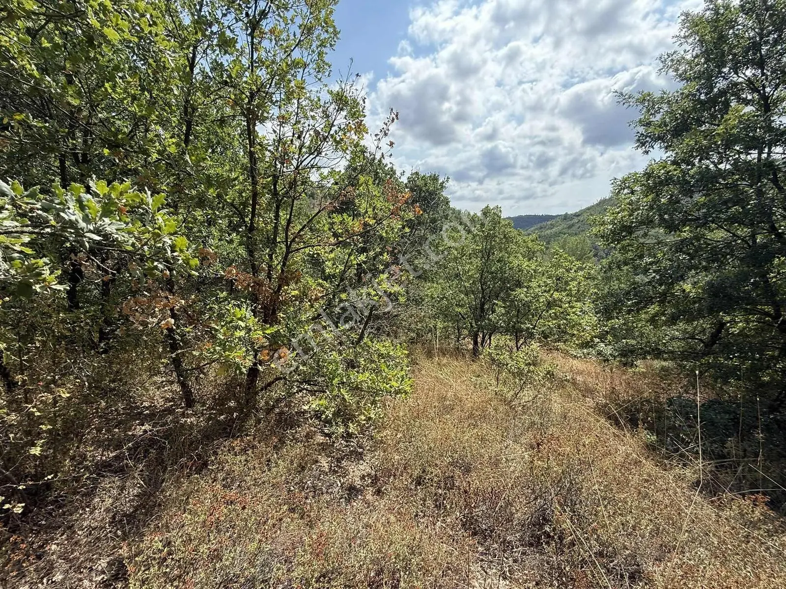 Sarıağıl'da Resmi Yola Cepheli Olan En Ucuz Tarla 6234 M2 — fotoğraf 22