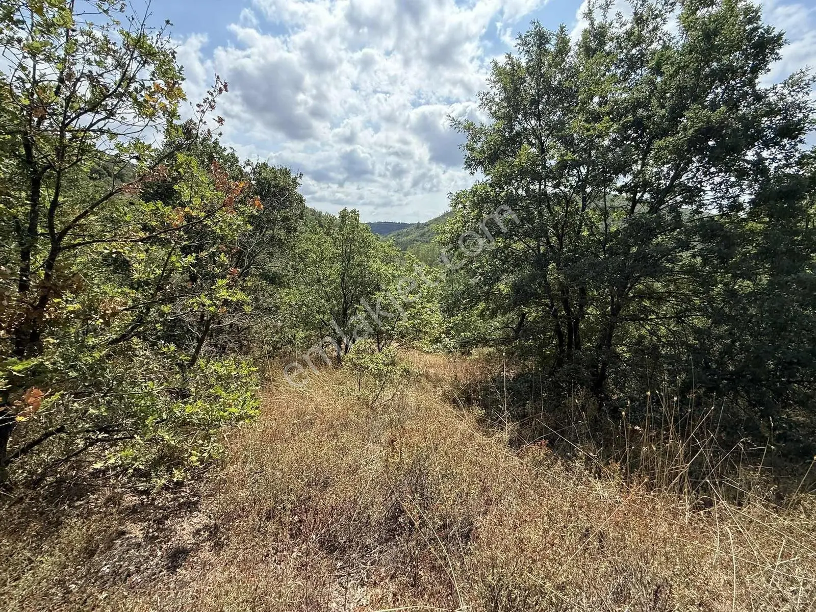 Sarıağıl'da Resmi Yola Cepheli Olan En Ucuz Tarla 6234 M2 — fotoğraf 24