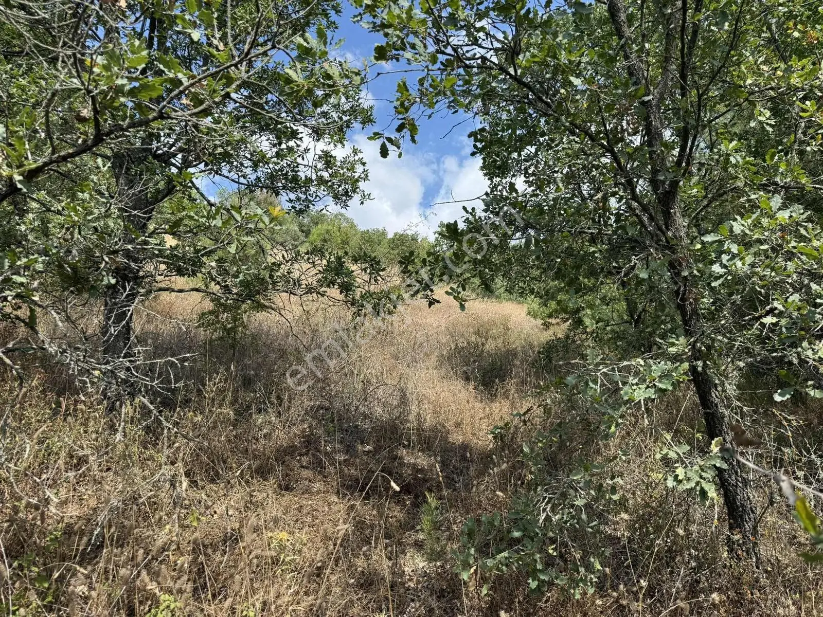 Sarıağıl'da Resmi Yola Cepheli Olan En Ucuz Tarla 6234 M2 — fotoğraf 25