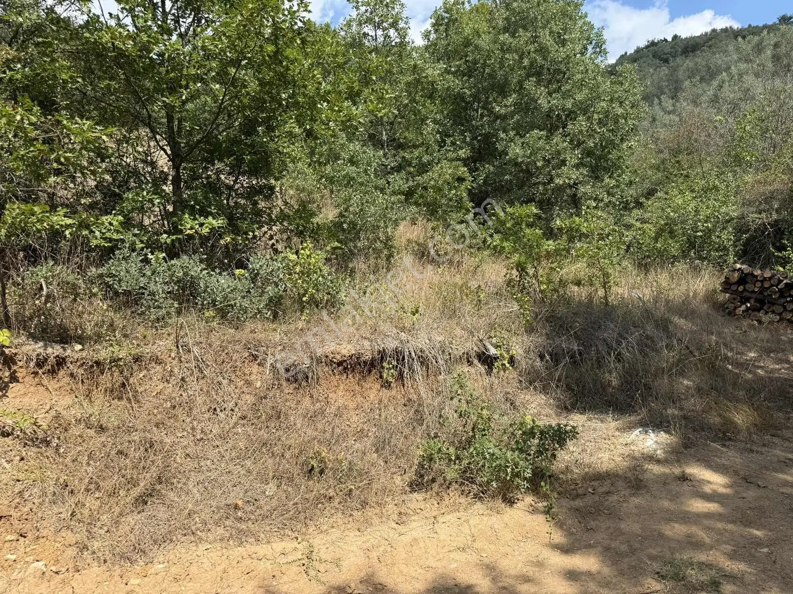 Sarıağıl'da Resmi Yola Cepheli Olan En Ucuz Tarla 6234 M2 — fotoğraf 26