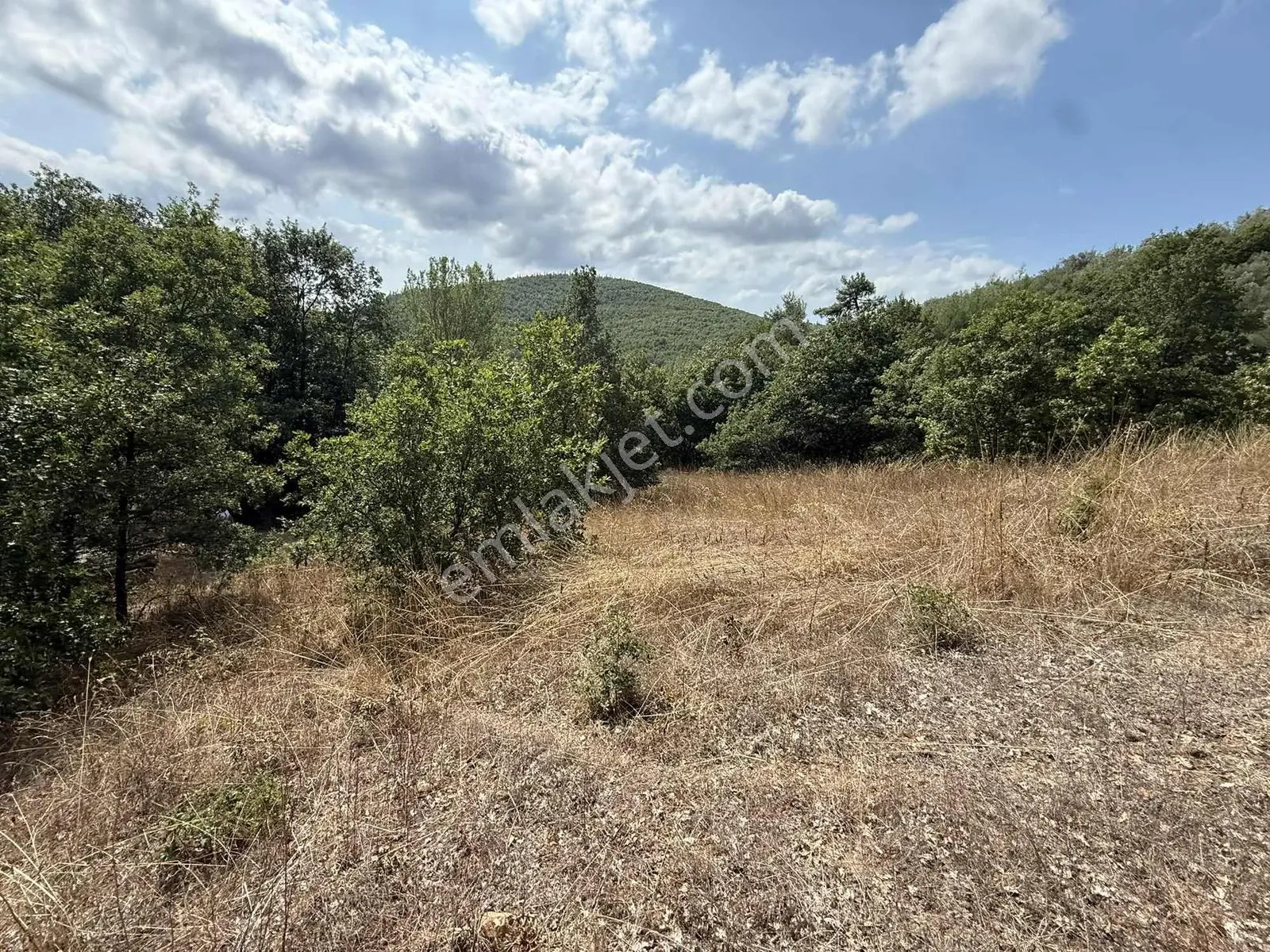 Sarıağıl'da Resmi Yola Cepheli Olan En Ucuz Tarla 6234 M2 — fotoğraf 27