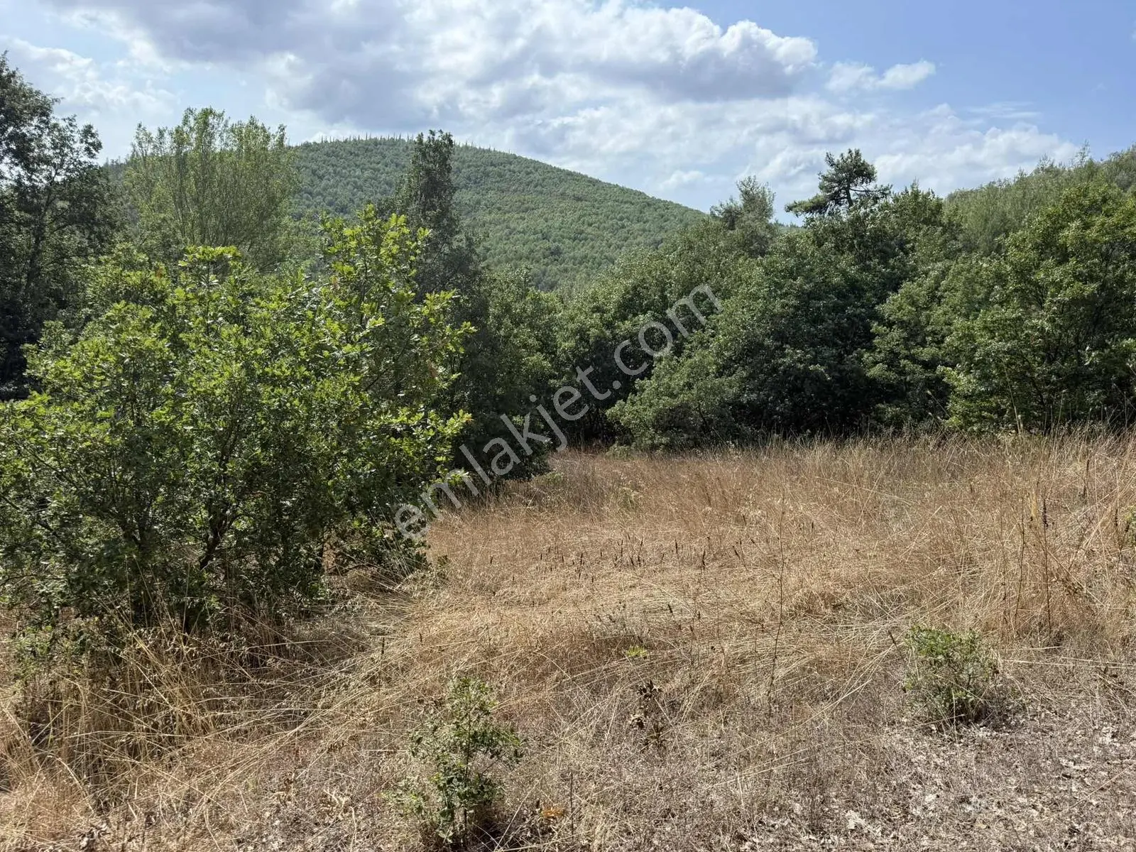 Sarıağıl'da Resmi Yola Cepheli Olan En Ucuz Tarla 6234 M2 — fotoğraf 29