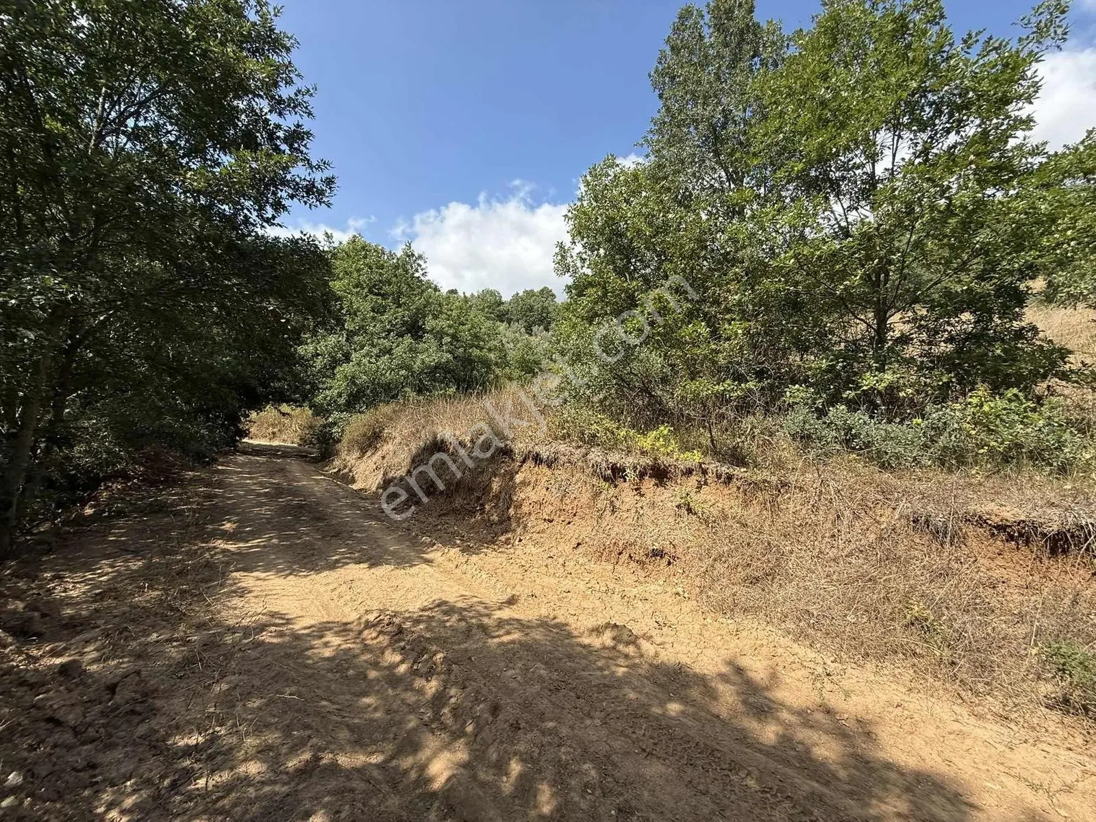 Sarıağıl'da Resmi Yola Cepheli Olan En Ucuz Tarla 6234 M2 — fotoğraf 30
