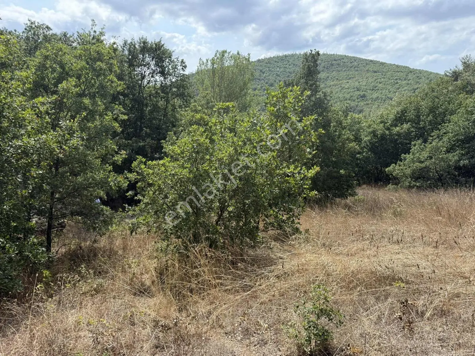Sarıağıl'da Resmi Yola Cepheli Olan En Ucuz Tarla 6234 M2 — fotoğraf 31