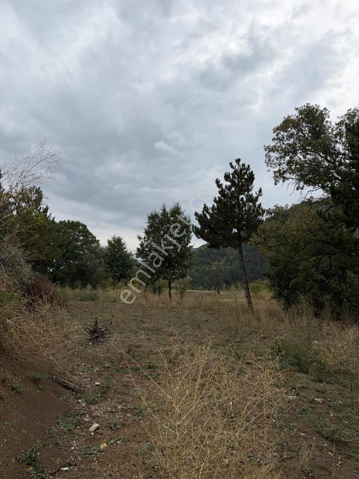 Satılık Tek Tapu Bahçe — fotoğraf 3