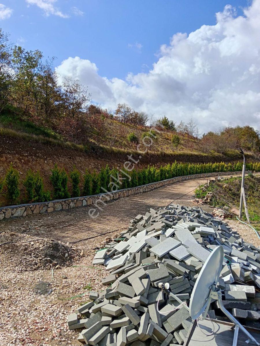 Kandıra Çakmaklarda Doğayla İç İçe Havuzlu 2kat Kabungolow Ev — fotoğraf 3