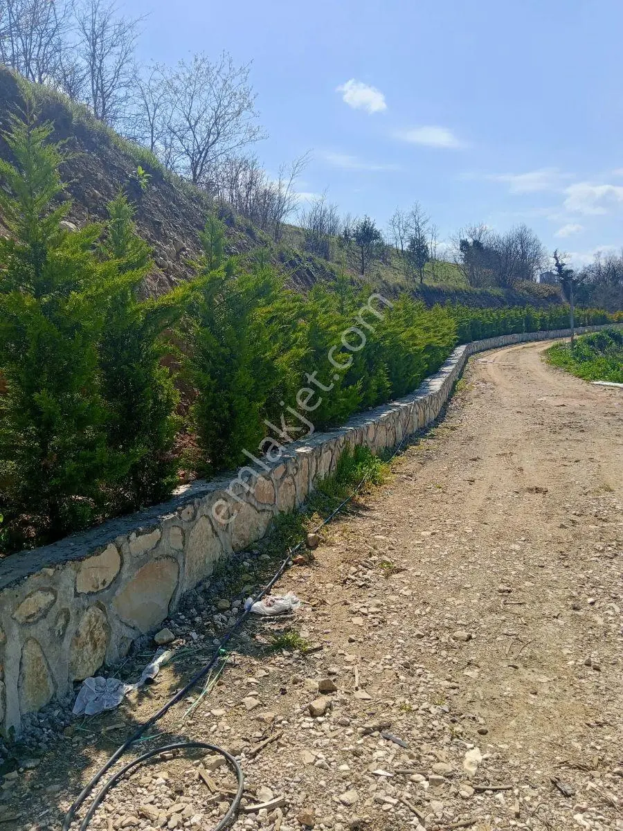 Kandıra Çakmaklarda Doğayla İç İçe Havuzlu 2kat Kabungolow Ev — fotoğraf 5