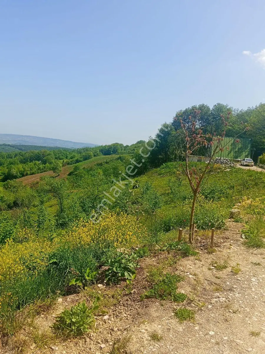 Kandıra Çakmaklarda Doğayla İç İçe Havuzlu 2kat Kabungolow Ev — fotoğraf 6