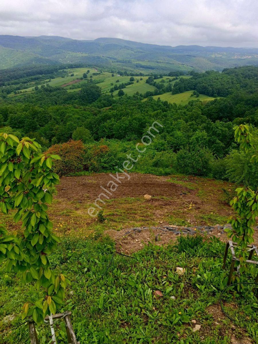 Kandıra Çakmaklarda Doğayla İç İçe Havuzlu 2kat Kabungolow Ev — fotoğraf 7