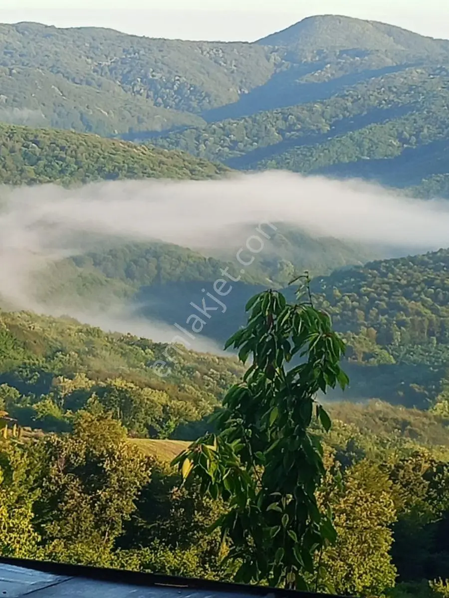 Kandıra Çakmaklarda Doğayla İç İçe Havuzlu 2kat Kabungolow Ev — fotoğraf 14
