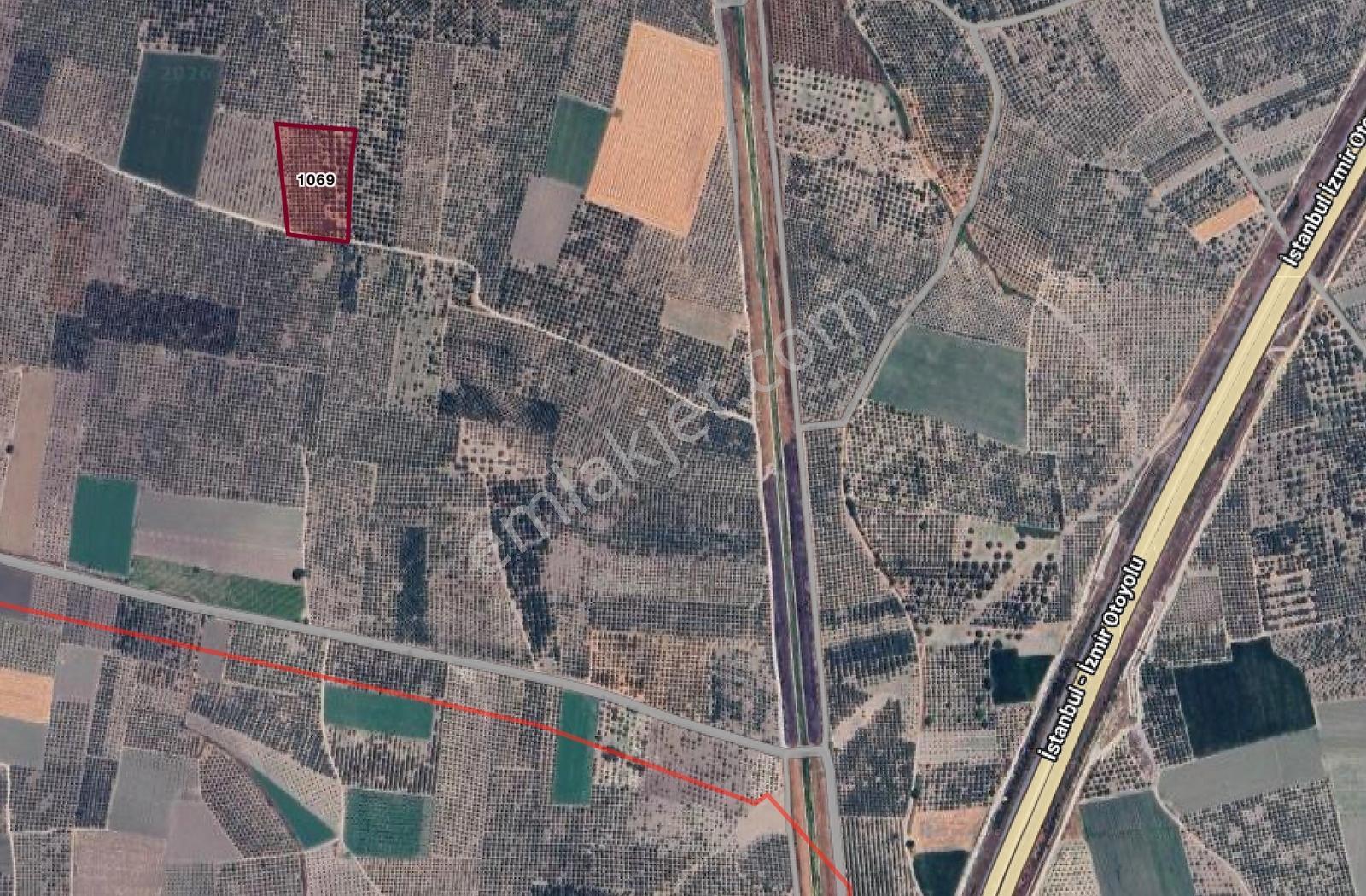 Mecidiyede Bakımlı Ve Tam Verimde 11850 M2 Tek Tapu Zeytinlik — fotoğraf 35