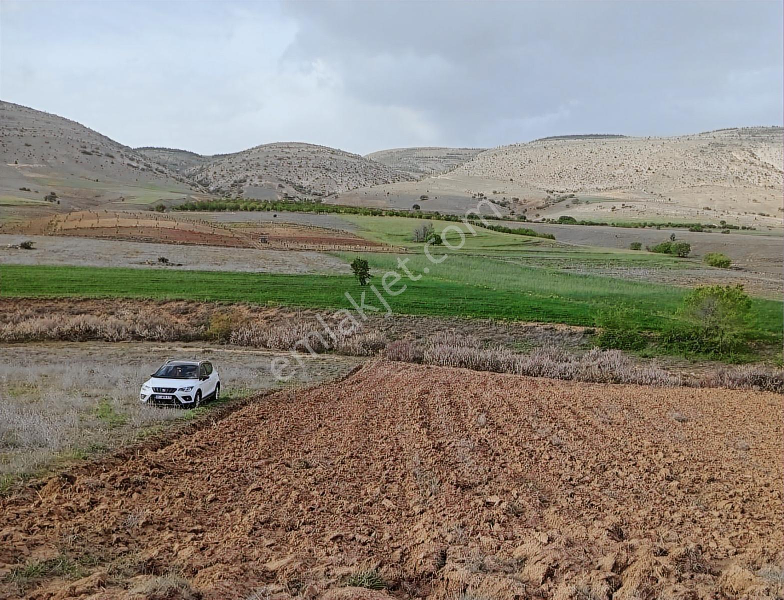 Kılan Yaylasında Tarla Tapu Masrafları Bize Ait
