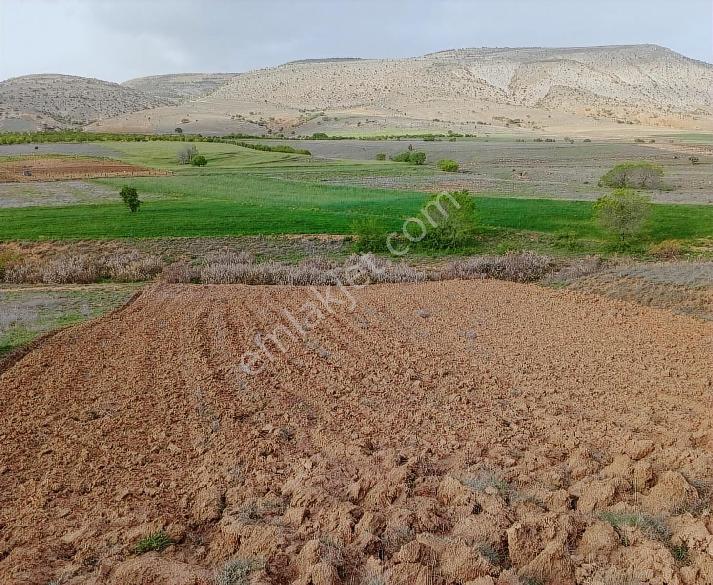 Kılan Yaylasında Tarla Tapu Masrafları Bize Ait — fotoğraf 2