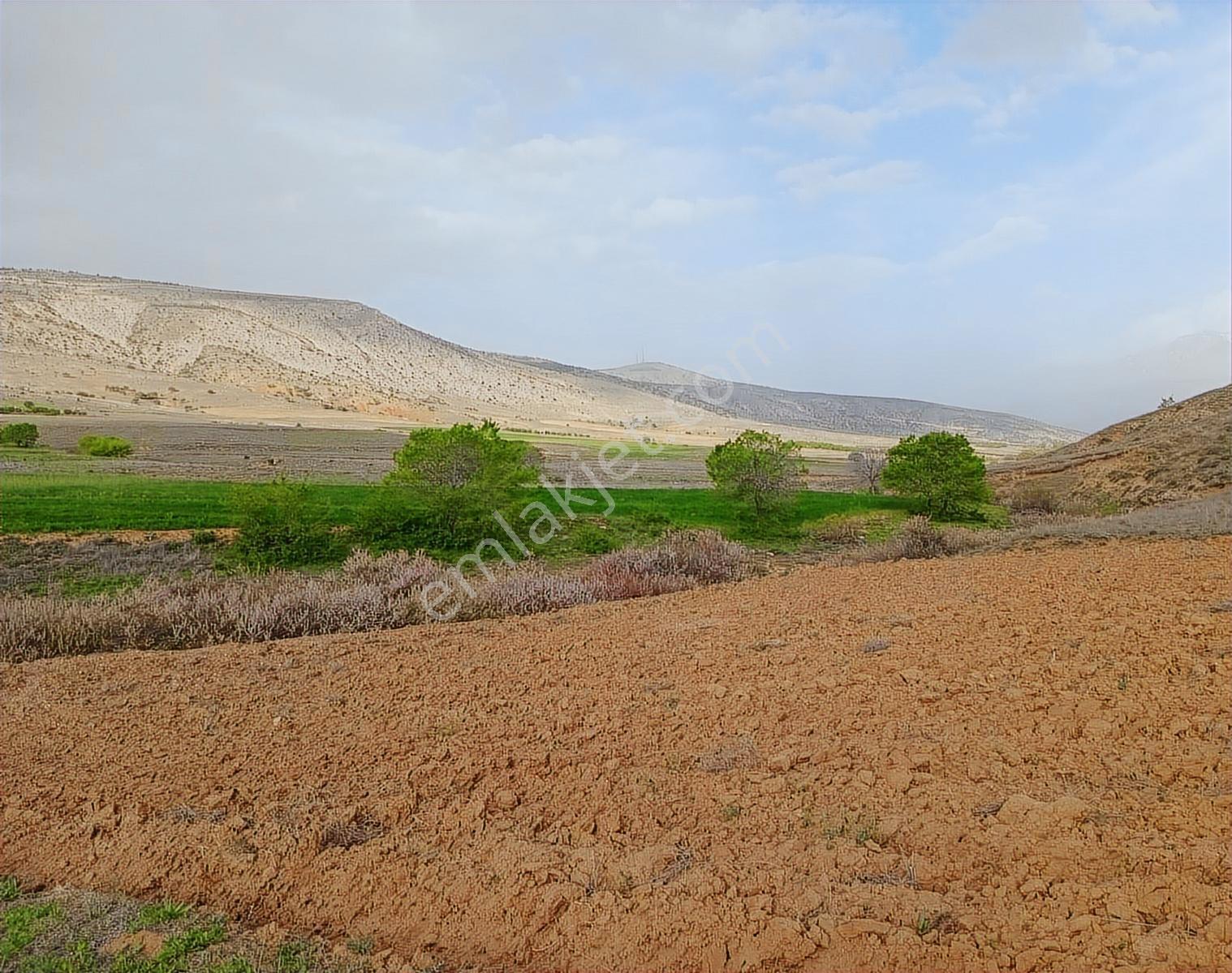 Kılan Yaylasında Tarla Tapu Masrafları Bize Ait — fotoğraf 3