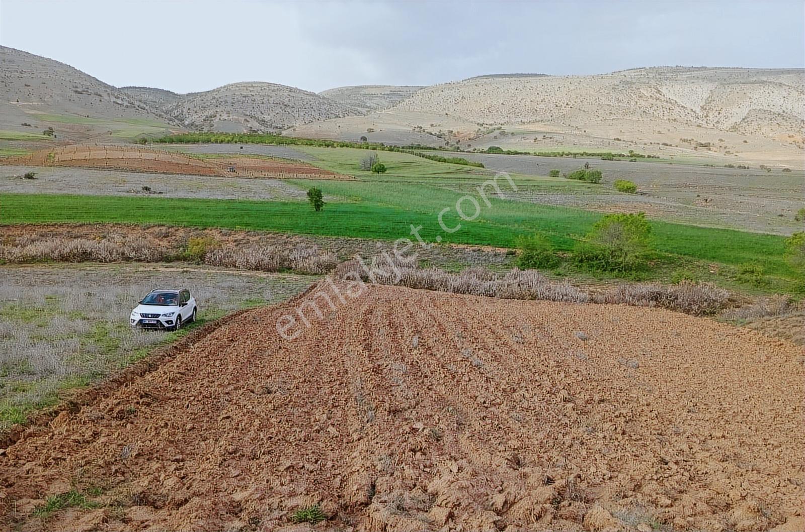Kılan Yaylasında Tarla Tapu Masrafları Bize Ait — fotoğraf 4