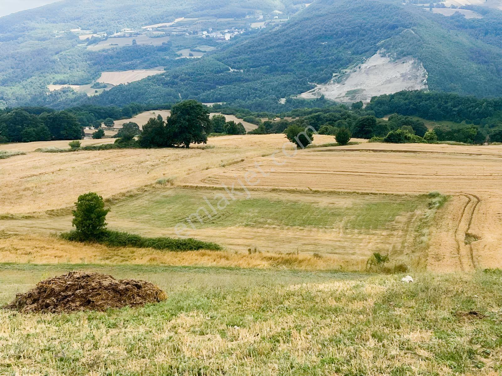 Şok Fiyat Son Satılık Çatmaoluk'da Tarla — fotoğraf 4