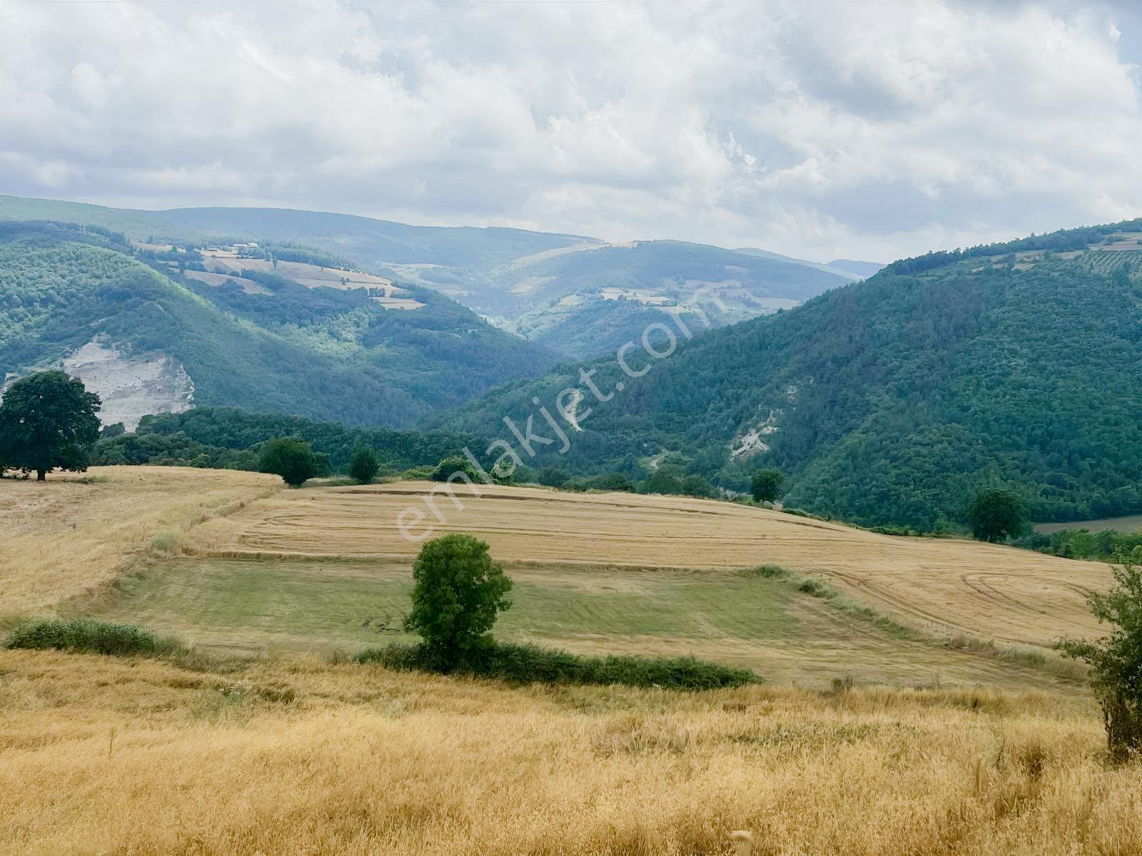 Şok Fiyat Son Satılık Çatmaoluk'da Tarla — fotoğraf 5