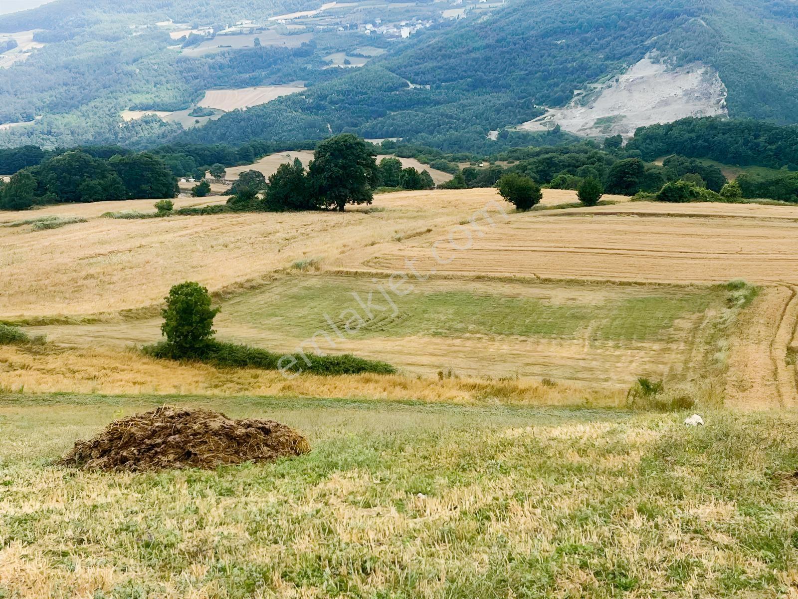Şok Fiyat Son Satılık Çatmaoluk'da Tarla — fotoğraf 8