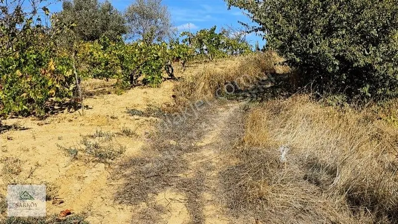 Köy Yanında, İmar Sınırında Harika Deniz Manzaralı Bağ — fotoğraf 4