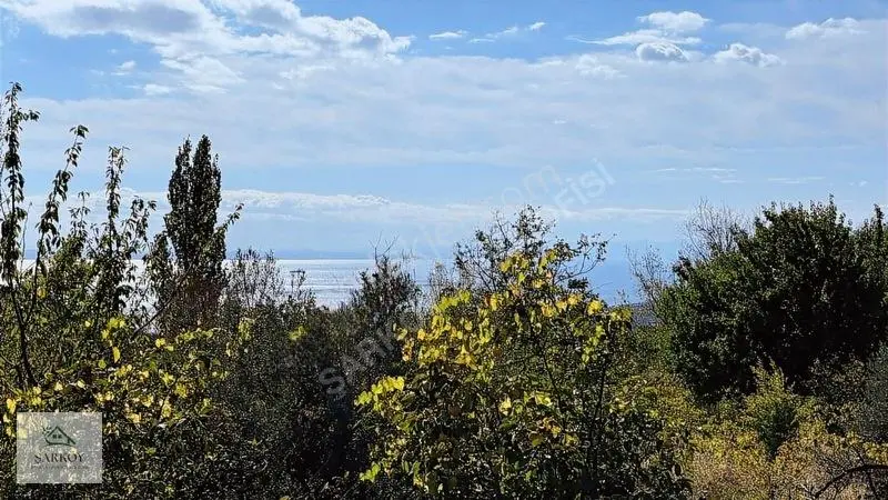 Köy Yanında, İmar Sınırında Harika Deniz Manzaralı Bağ — fotoğraf 5