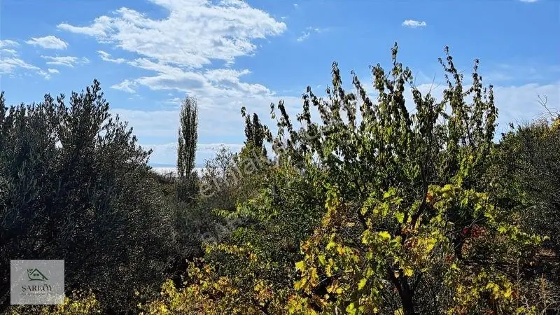 Köy Yanında, İmar Sınırında Harika Deniz Manzaralı Bağ — fotoğraf 11