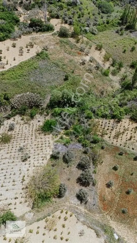 Köy Yanında, İmar Sınırında Harika Deniz Manzaralı Bağ — fotoğraf 20