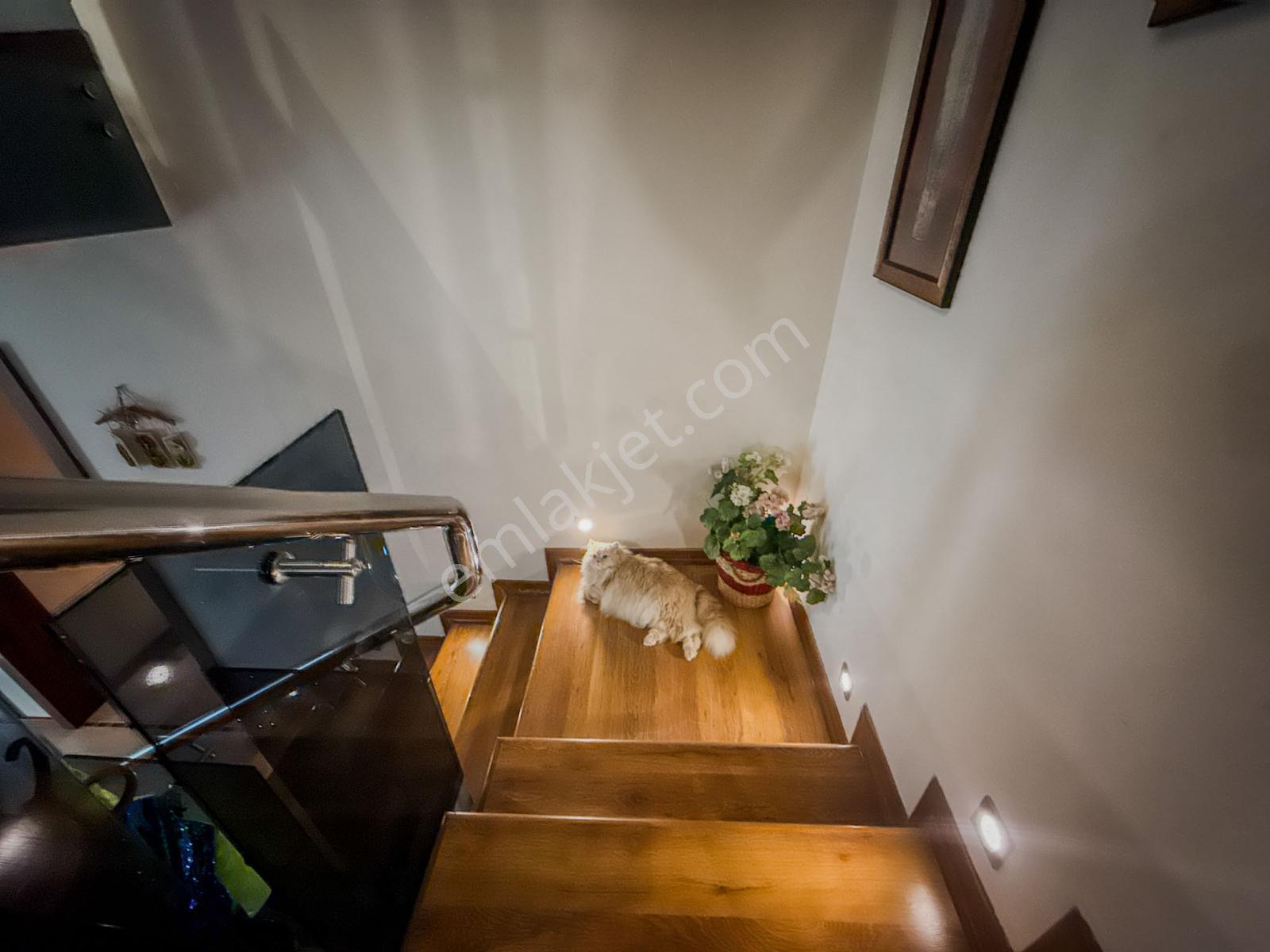Bursa Nilüfer Doğuşpark Mükemmel Manzaralı 5+1 Dubleks Daire — fotoğraf 23