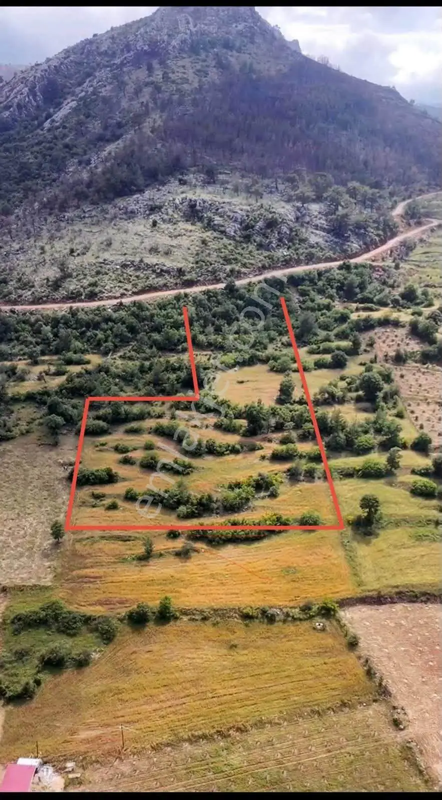 Silifke/imamuşağı Satılık 8.950m2 Tarla