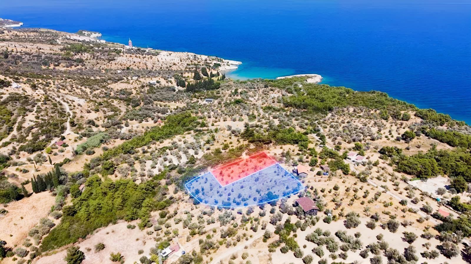 İçmekıyısı Koyuna 300 Mt Mesafede 5 Dönüm Zeytinlik — fotoğraf 10