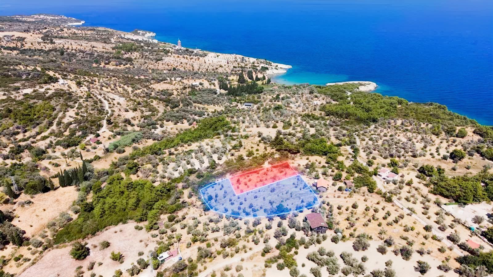 İçmekıyısı Koyuna 300 Mt Mesafede 5 Dönüm Zeytinlik — fotoğraf 11