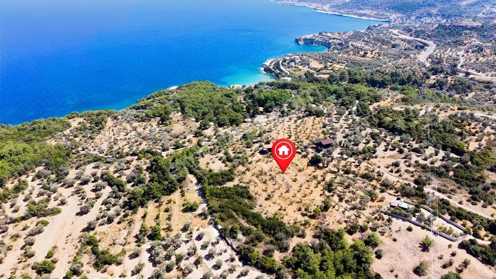 İçmekıyısı Koyuna 300 Mt Mesafede 5 Dönüm Zeytinlik — fotoğraf 12