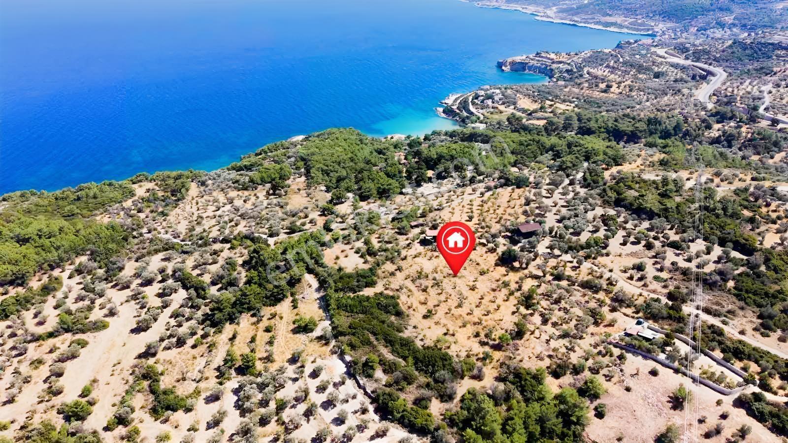 İçmekıyısı Koyuna 300 Mt Mesafede 5 Dönüm Zeytinlik — fotoğraf 13