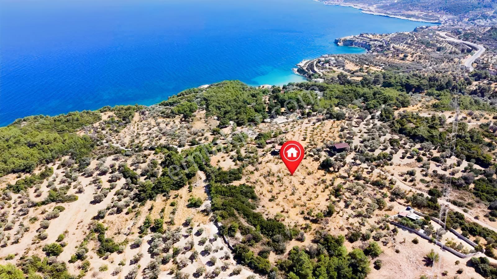 İçmekıyısı Koyuna 300 Mt Mesafede 5 Dönüm Zeytinlik — fotoğraf 14