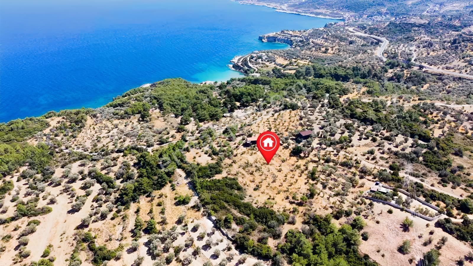İçmekıyısı Koyuna 300 Mt Mesafede 5 Dönüm Zeytinlik — fotoğraf 16