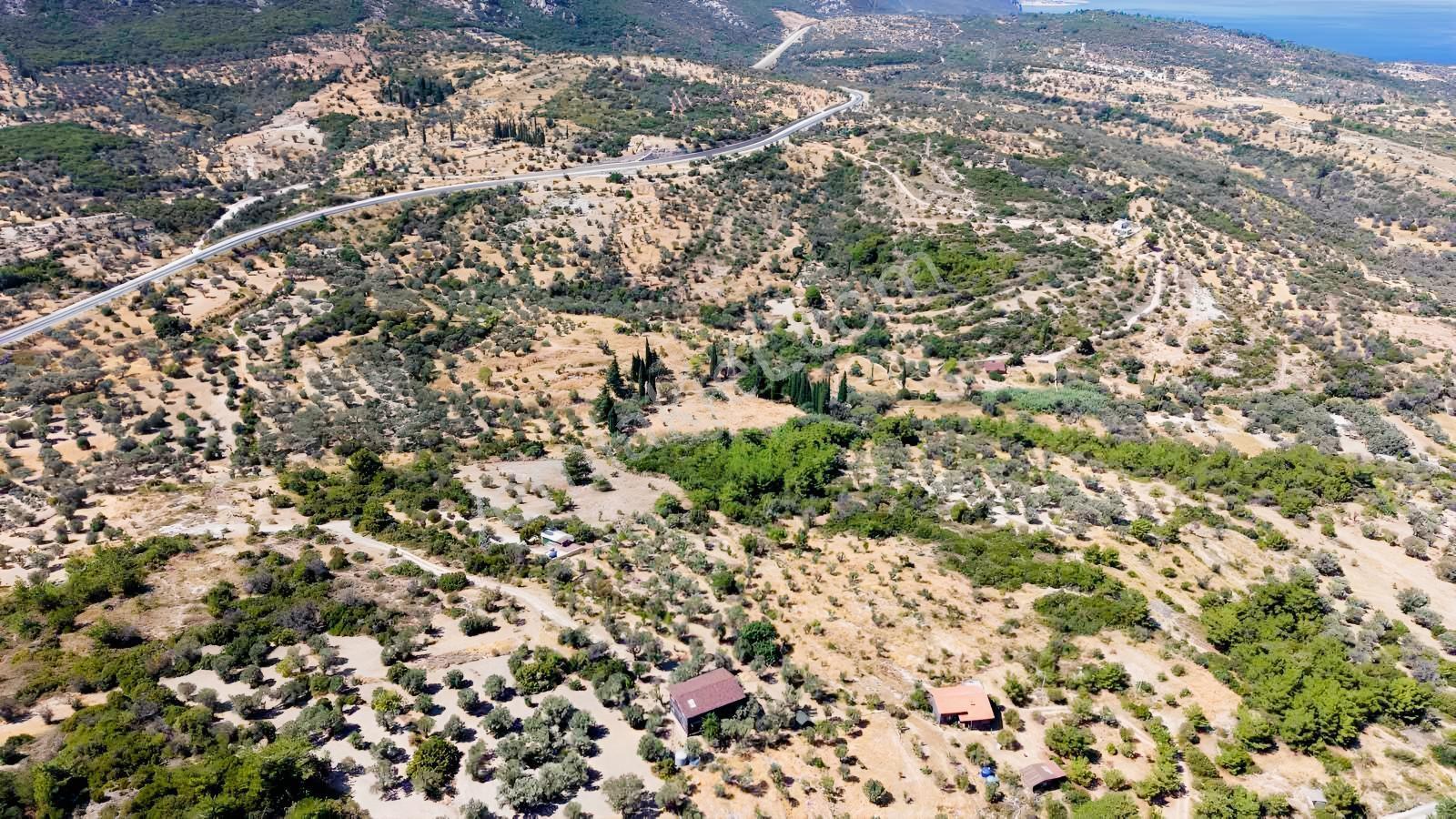 İçmekıyısı Koyuna 300 Mt Mesafede 5 Dönüm Zeytinlik — fotoğraf 18