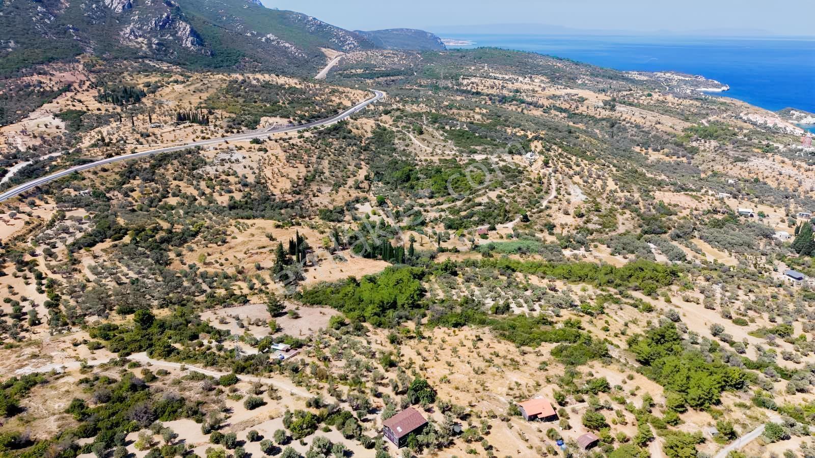 İçmekıyısı Koyuna 300 Mt Mesafede 5 Dönüm Zeytinlik — fotoğraf 19