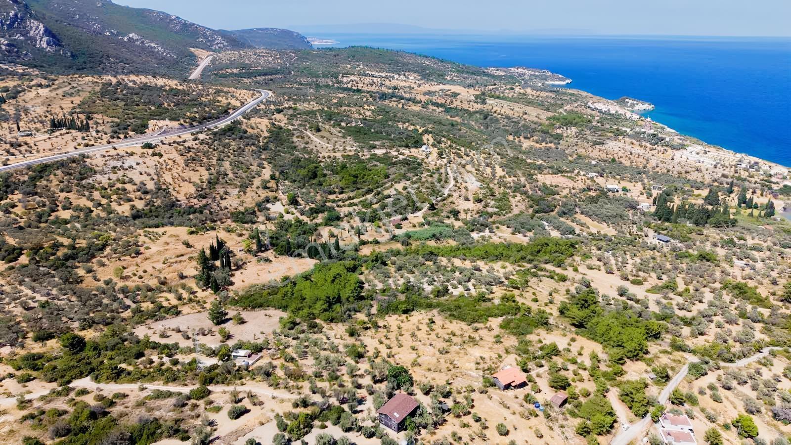 İçmekıyısı Koyuna 300 Mt Mesafede 5 Dönüm Zeytinlik — fotoğraf 20